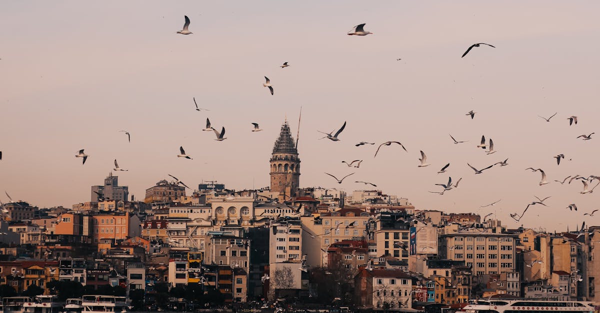 découvrez nos offres d'assurance voyage pour voyager en toute sérénité. protégez-vous et vos proches lors de vos déplacements avec notre assurance voyage sur mesure.